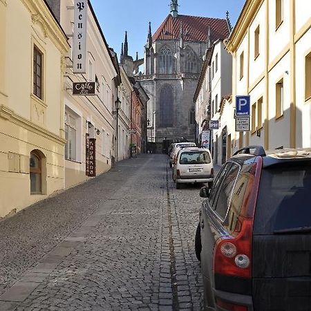 Pension Pod Vezi Kolín Kültér fotó